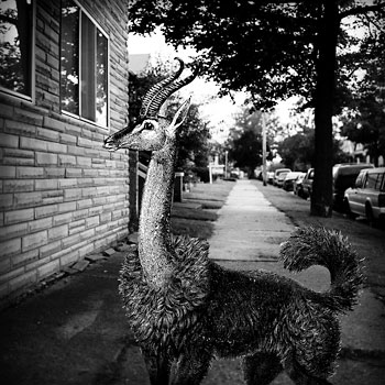 Click to View Vital Statistics